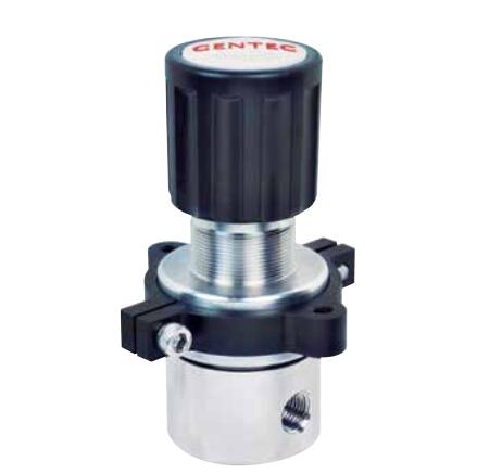 R72SL系列中压背压阀