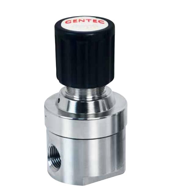 R74SL 系列中流量背压阀